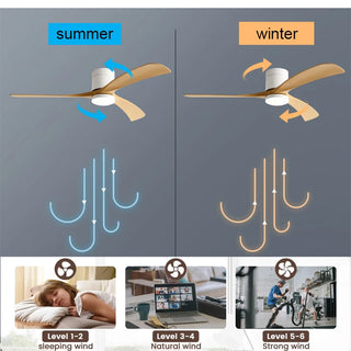 Abidan - Remote Ceiling Light Fan 3 Blade