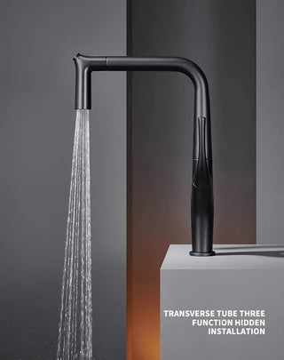 Gilles - Pull Out Modern Water Filter Crane Single Handle Mixer Kitchen Tap