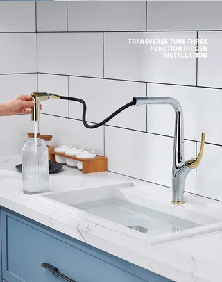 Gilles - Pull Out Modern Water Filter Crane Single Handle Mixer Kitchen Tap