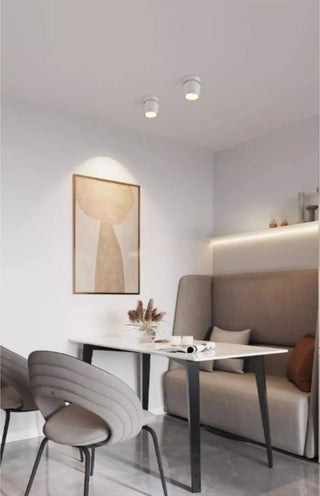 Leonie 2 - Modern Adjustable Dimmable Flush Mount Ceiling Spotlight