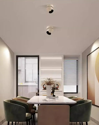 Leonie 2 - Modern Adjustable Dimmable Flush Mount Ceiling Spotlight