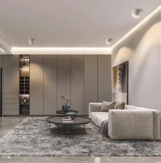 Leonie 2 - Modern Adjustable Dimmable Flush Mount Ceiling Spotlight