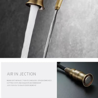 Andre - Antique Brass Kitchen 3 Way Filtered Pull Out Tap