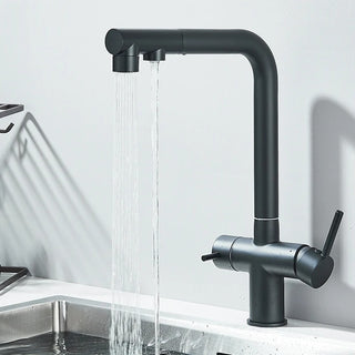 Lisandra - Pull Out Kitchen Filtered Dual Sprayer Tap