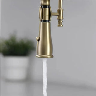Dorene - Gold Brass Porcelain Pull Down Dual Mixer Kitchen Tap