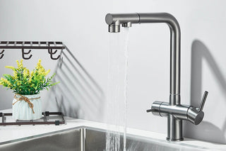 Lisandra - Pull Out Kitchen Filtered Dual Sprayer Tap