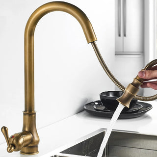 Denae - Brass Single Hole Single Lever Pull Out Kitchen Tap