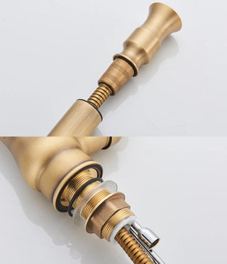 Denae - Brass Single Hole Single Lever Pull Out Kitchen Tap