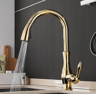 Delpha - Kitchen Single Handle Pull Out Swivel Mixer Tap