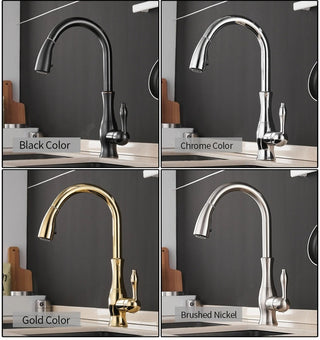 Delpha - Kitchen Single Handle Pull Out Swivel Mixer Tap