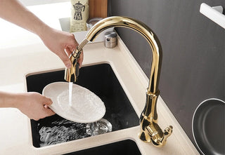 Delpha - Kitchen Single Handle Pull Out Swivel Mixer Tap