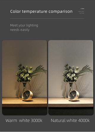 Trena - Acrylic Hanging Round Gold Modern Wall Light