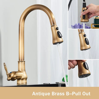 Denae - Brass Single Hole Single Lever Pull Out Kitchen Tap