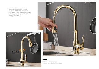Delpha - Kitchen Single Handle Pull Out Swivel Mixer Tap