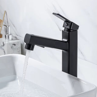 Penney - Modern Pull Out Hot/Cold Single Lever Basin Tap