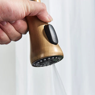 Denae - Brass Single Hole Single Lever Pull Out Kitchen Tap