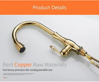 Delpha - Kitchen Single Handle Pull Out Swivel Mixer Tap