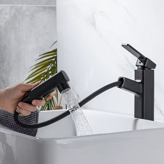 Penney - Modern Pull Out Hot/Cold Single Lever Basin Tap