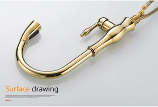 Delpha - Kitchen Single Handle Pull Out Swivel Mixer Tap