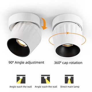 Leonie 2 - Modern Adjustable Dimmable Flush Mount Ceiling Spotlight