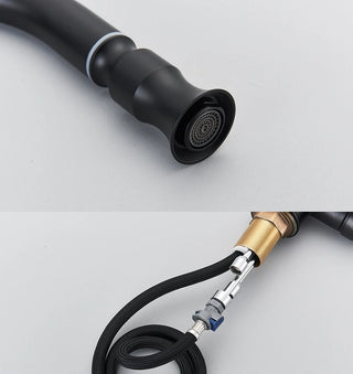 Denae - Brass Single Hole Single Lever Pull Out Kitchen Tap