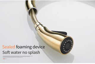 Delpha - Kitchen Single Handle Pull Out Swivel Mixer Tap