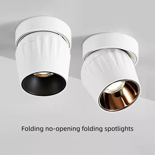 Leonie 2 - Modern Adjustable Dimmable Flush Mount Ceiling Spotlight