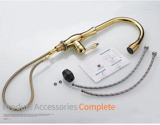 Delpha - Kitchen Single Handle Pull Out Swivel Mixer Tap