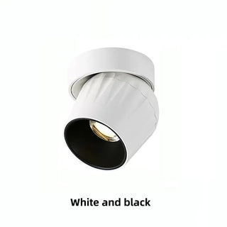 Leonie 2 - Modern Adjustable Dimmable Flush Mount Ceiling Spotlight