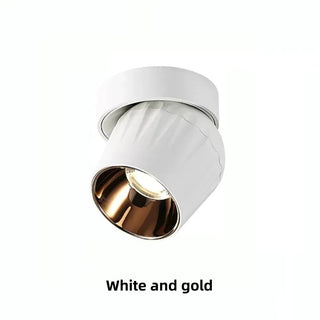 Leonie 2 - Modern Adjustable Dimmable Flush Mount Ceiling Spotlight