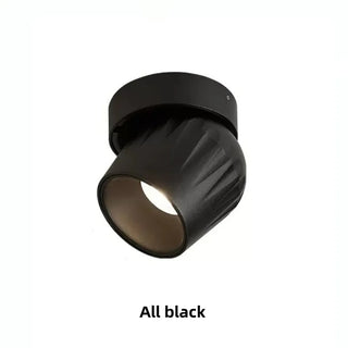 Leonie 2 - Modern Adjustable Dimmable Flush Mount Ceiling Spotlight