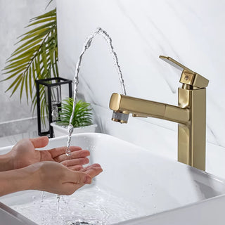 Penney - Modern Pull Out Hot/Cold Single Lever Basin Tap