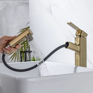 Penney - Modern Pull Out Hot/Cold Single Lever Basin Tap