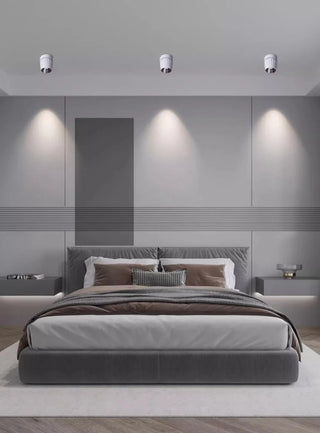 Leonie 2 - Modern Adjustable Dimmable Flush Mount Ceiling Spotlight