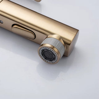 Penney - Modern Pull Out Hot/Cold Single Lever Basin Tap