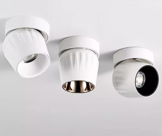 Leonie 2 - Modern Adjustable Dimmable Flush Mount Ceiling Spotlight