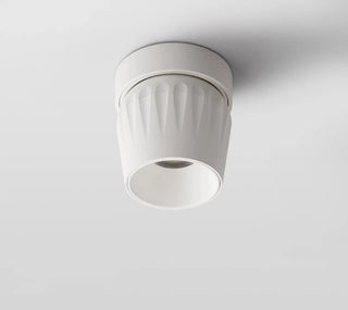 Leonie 2 - Modern Adjustable Dimmable Flush Mount Ceiling Spotlight