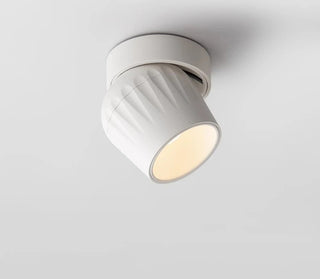 Leonie 2 - Modern Adjustable Dimmable Flush Mount Ceiling Spotlight
