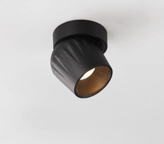 Leonie 2 - Modern Adjustable Dimmable Flush Mount Ceiling Spotlight