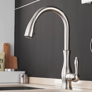 Delpha - Kitchen Single Handle Pull Out Swivel Mixer Tap
