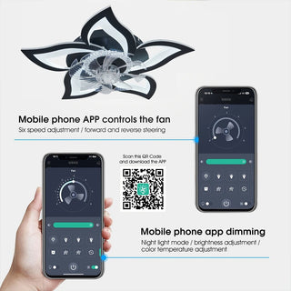 Jeffie - Modern Remote Light Ceiling Fan 5 Blade