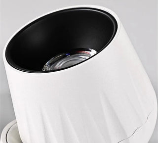 Leonie 2 - Modern Adjustable Dimmable Flush Mount Ceiling Spotlight