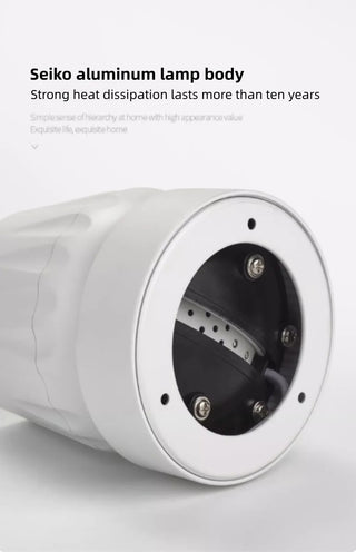 Leonie 2 - Modern Adjustable Dimmable Flush Mount Ceiling Spotlight