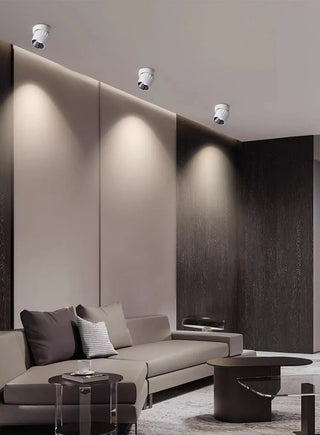 Leonie 2 - Modern Adjustable Dimmable Flush Mount Ceiling Spotlight