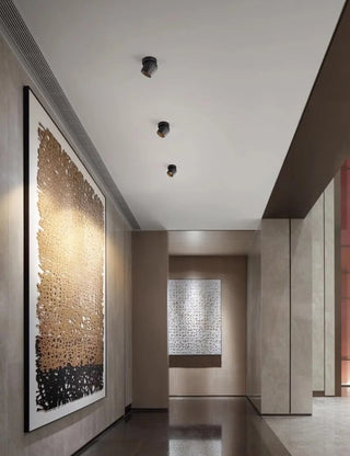 Leonie 2 - Modern Adjustable Dimmable Flush Mount Ceiling Spotlight