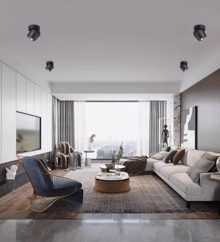 Leonie 2 - Modern Adjustable Dimmable Flush Mount Ceiling Spotlight