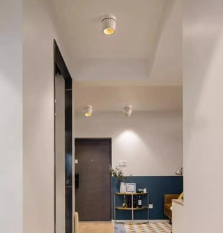 Leonie 2 - Modern Adjustable Dimmable Flush Mount Ceiling Spotlight