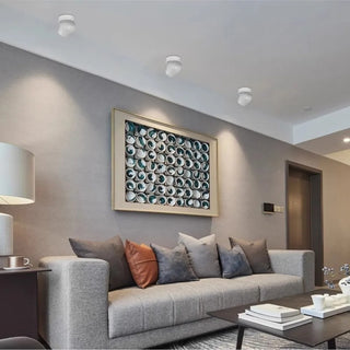 Leonie 2 - Modern Adjustable Dimmable Flush Mount Ceiling Spotlight