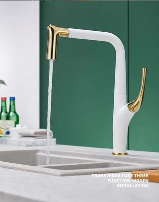 Gilles - Pull Out Modern Water Filter Crane Single Handle Mixer Kitchen Tap
