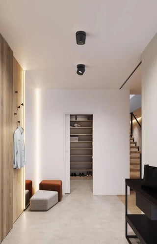 Leonie 2 - Modern Adjustable Dimmable Flush Mount Ceiling Spotlight